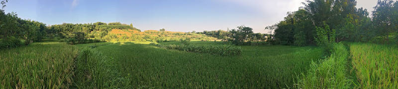 田野全景 田野全景